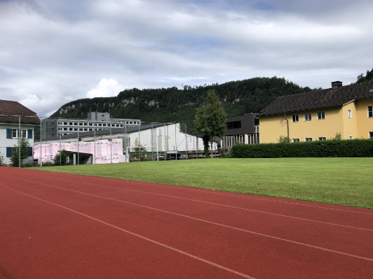 Feldkirch, Oesterreich, Viola, 2020