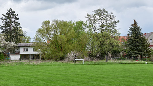 Ober-Hörgern, Dietrich, 2021