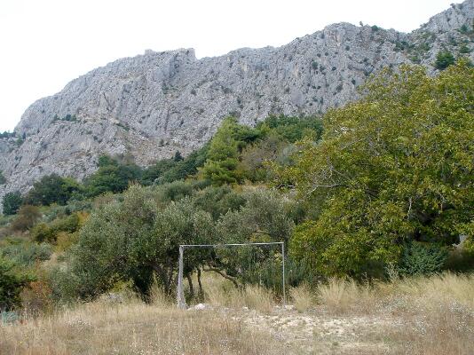 Omis, Palästina, 2009, Viola