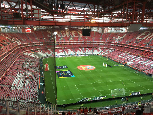 Estadio da Luz, Lissabon, 2016, Martin