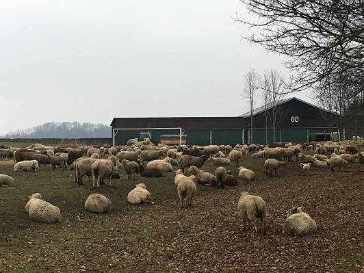 Colombier, Schweiz, 2018, Martin