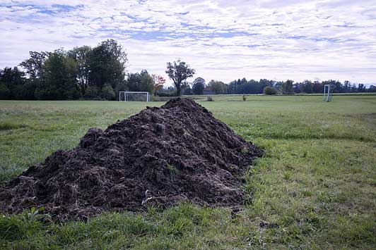 Vogelherd, Dießen, Bayern, Stefan, 2021