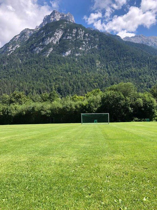 Mittenwald, Bayern, Viola, 2022