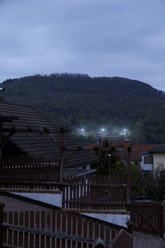 Habichtswald Doernberg, Dietrich, 2022