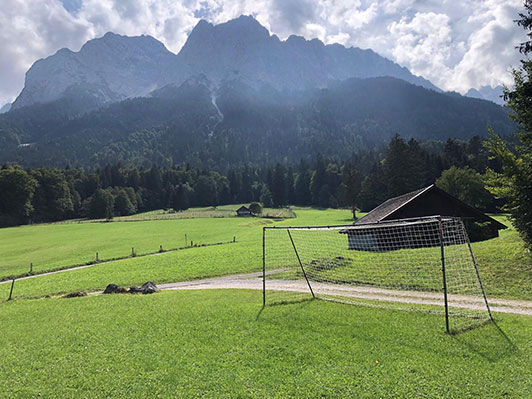 Grainau, Oberbayern, Viola, 2024
