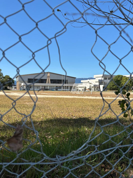 Moriyama, Japan, Viola, 2025