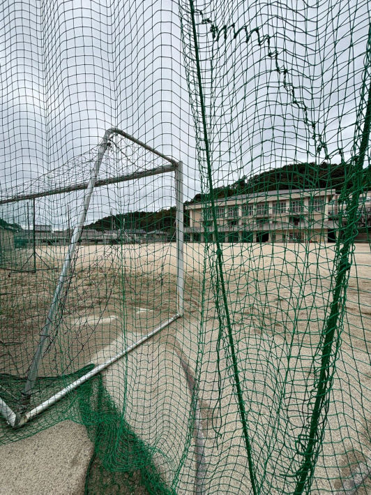 Kyoto, Japan, Viola, 2025