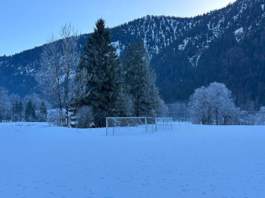 Ettal, Oberbayern, Viola, 2026