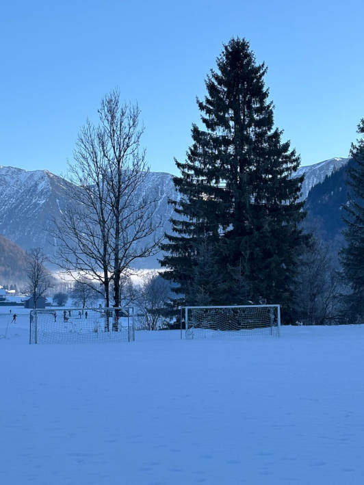 Ettal, Oberbayern, Viola, 2026