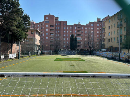 Bologna, Italien, Viola, 2026